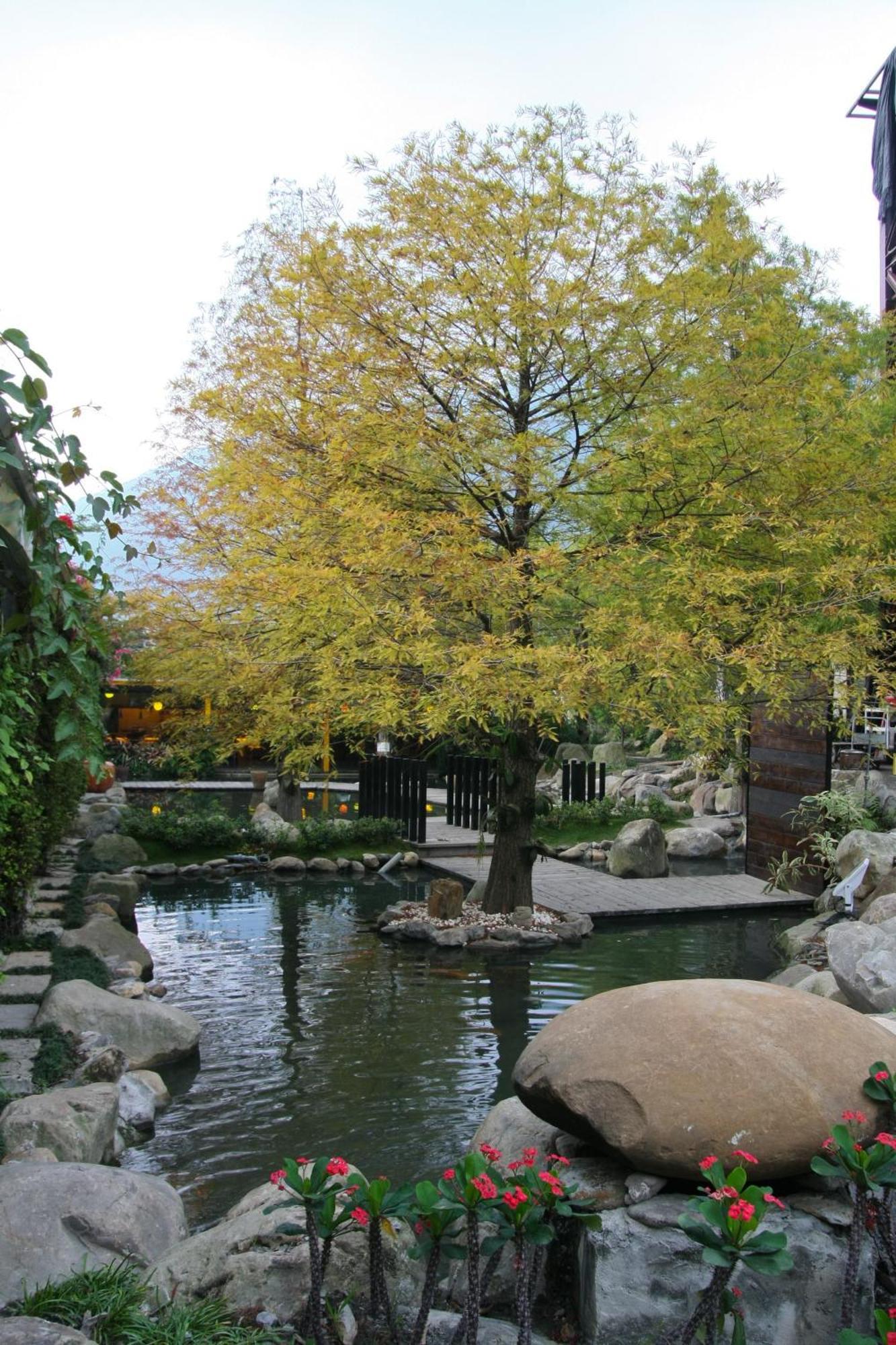 Tai-Yi Red Maple Resort Puli Exterior photo