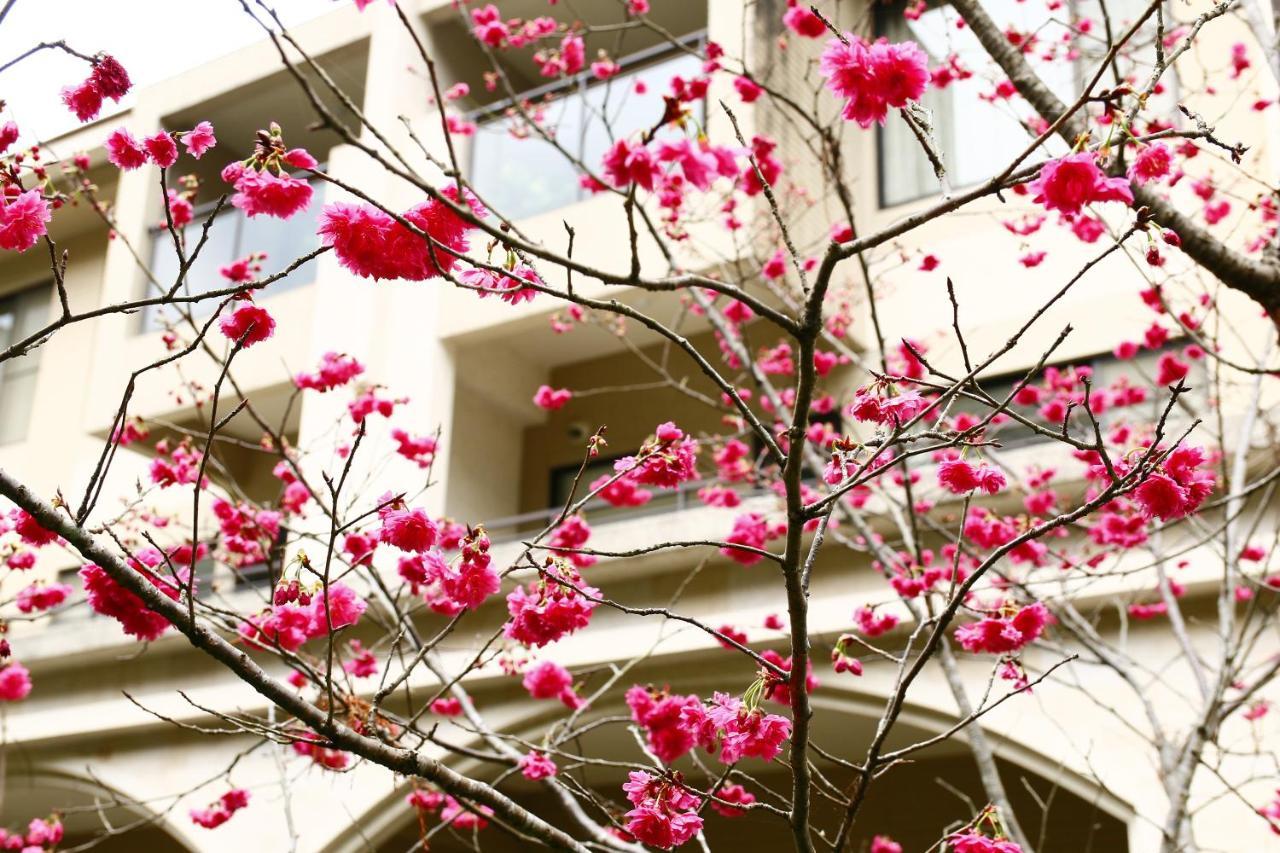 Tai-Yi Red Maple Resort Puli Exterior photo